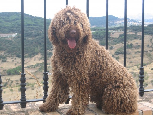 Facundo en la sierra de cádiz